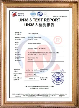 UN38.3