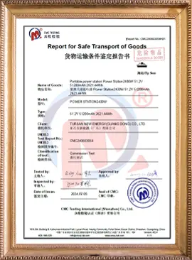 Maritime Safety Certificate